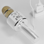 Микрофон динамический, однонаправленный HOCO, Cool sound, BK3, 100-10000Гц, -72 дБ, серебряный