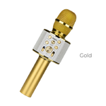Микрофон динамический, однонаправленный HOCO, Cool sound, BK3, 100-10000Гц, -72 дБ, золотой