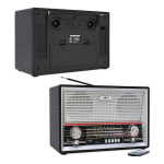 Радиоприемник Ritmix RPR-102 black/carbon