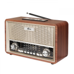 Радиоприемник Ritmix RPR-111 Wood