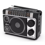 Радиоприемник Ritmix RPR-171
