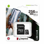 Карта памяти microSDXC 256Gb Kingston, Canvas Select Plus, Class10, 100/85 MB/s, с адаптером